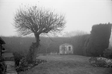 Foggy Summerhouse - December 2025