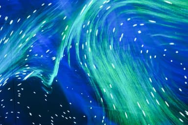 Lisbon Aquarium emersive light show.