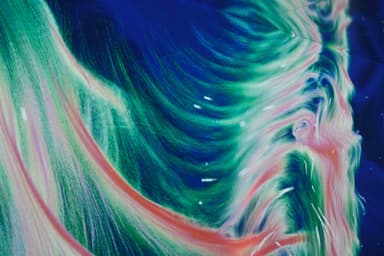 Lisbon Aquarium emersive light show.