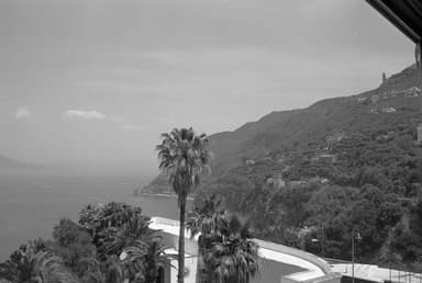 Bella Vico