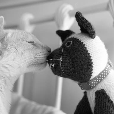 Eddie and friend