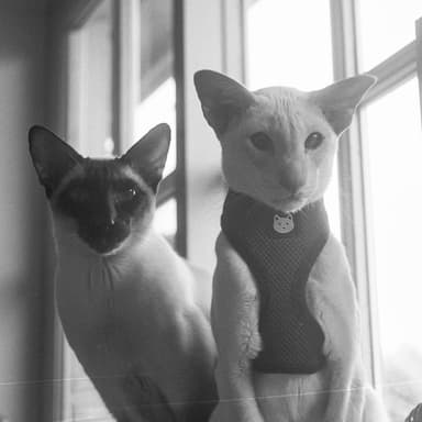 Eddie and Sacha 2021