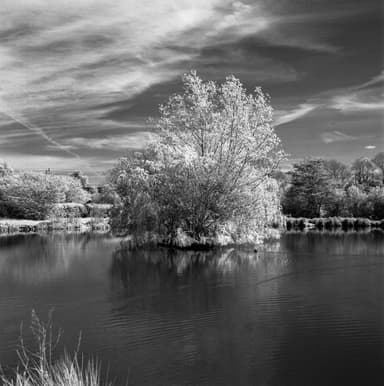 Fishing Lake